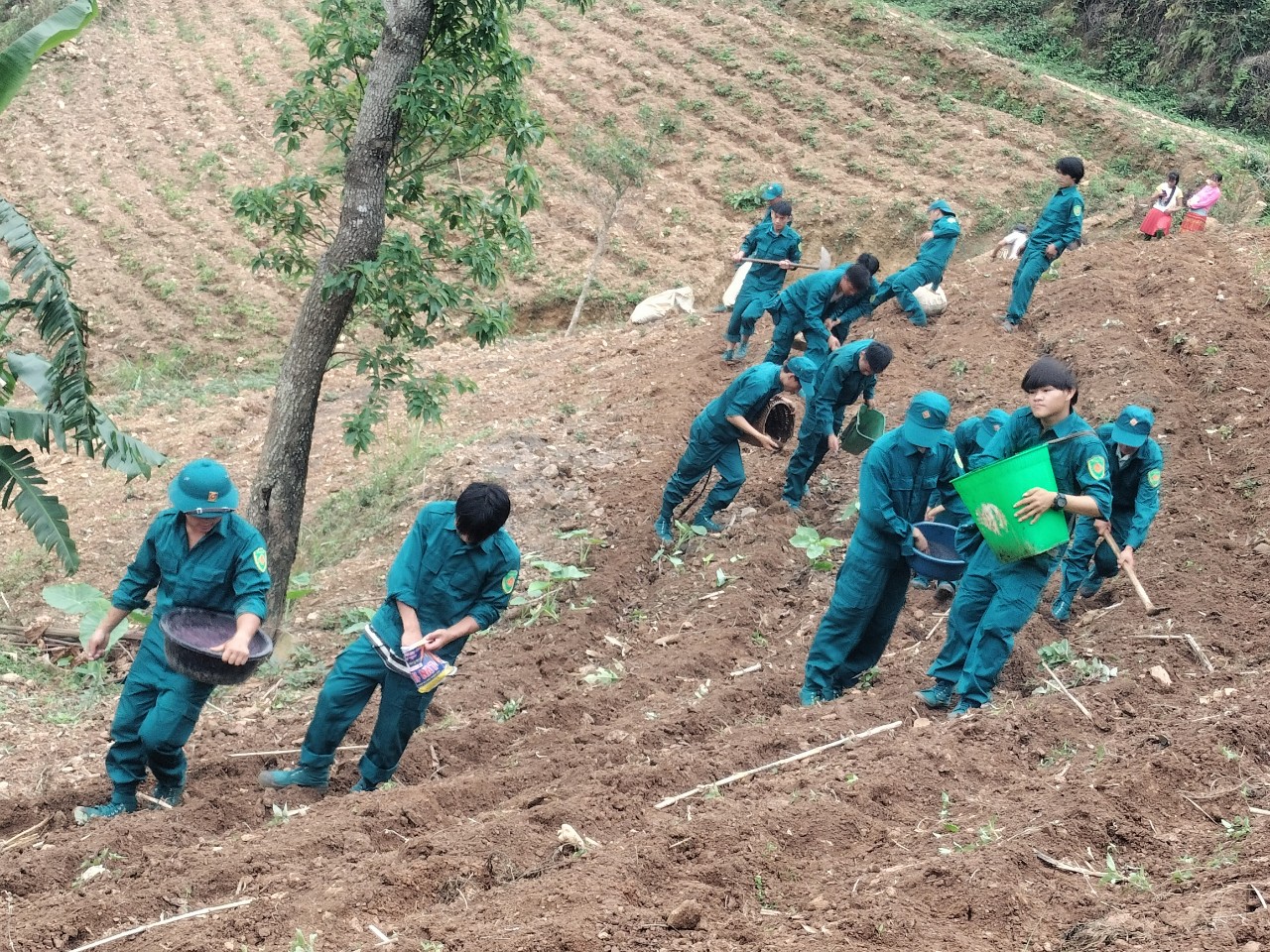 Dân quân xã Khâu Vai hỗ trợ gia đình có công dân đang tại ngũ trồng ngô